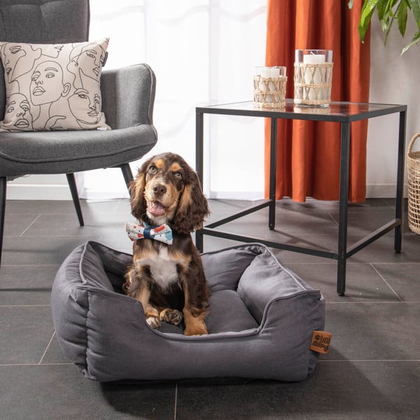 Letto blu per cani 50x55 cm - Love Story-image-3