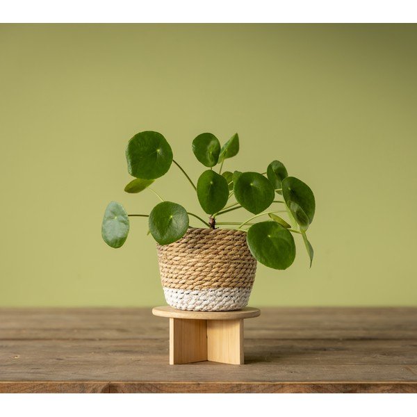 Portafiori in bambù ø 18 cm - Esschert Design-image-3