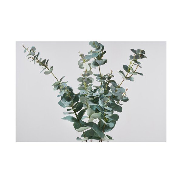 Eucalipto artificiale (altezza 71 cm) Kvist - Villa Collection-image-1