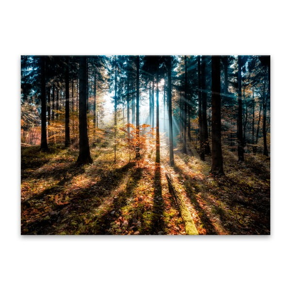 Immagine su tela, 70 x 100 cm Glasspik Autumn Sunset - Styler