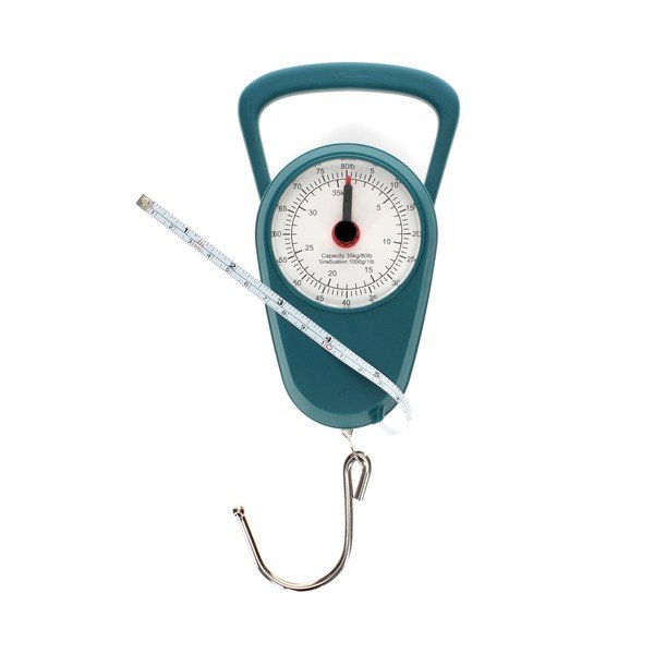 Bilancia da viaggio per bagagli - Rex London-image-3