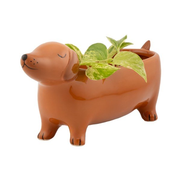 Coprivaso in ceramica Sausage Dog – Sass & Belle-image-4
