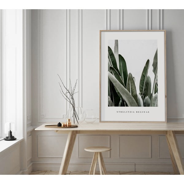 Dipinto 50x70 cm Strelitzia – Styler-image-1