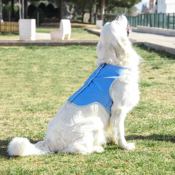 Gilet refrigerante per animali domestici di grossa taglia, taglia. L - InnovaGoods-image-3