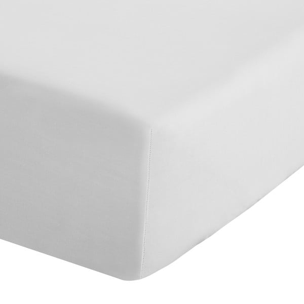 Lenzuolo con angoli bianco in percalle 90x190 cm Easy Iron Percale – Catherine Lansfield