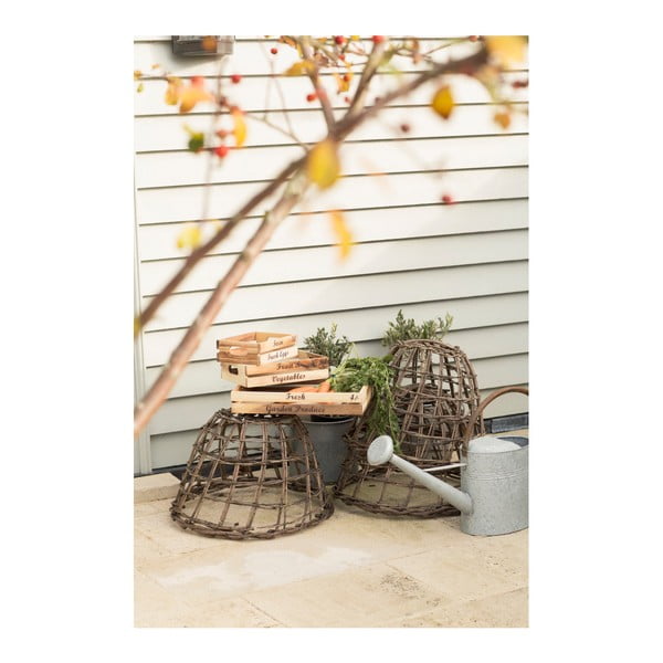 Porta sale e pepe in legno di acacia Glorious Acacia - T&G Woodware-image-2