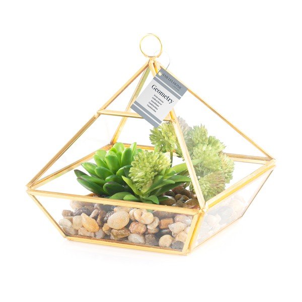 Succulenta artificiale (altezza 15,5 cm) Geometry - AmeliaHome