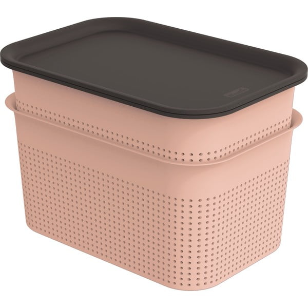 Set di 2 contenitori in plastica rosa chiaro con coperchio 18,5x26,5x18 cm Brisen - Rotho