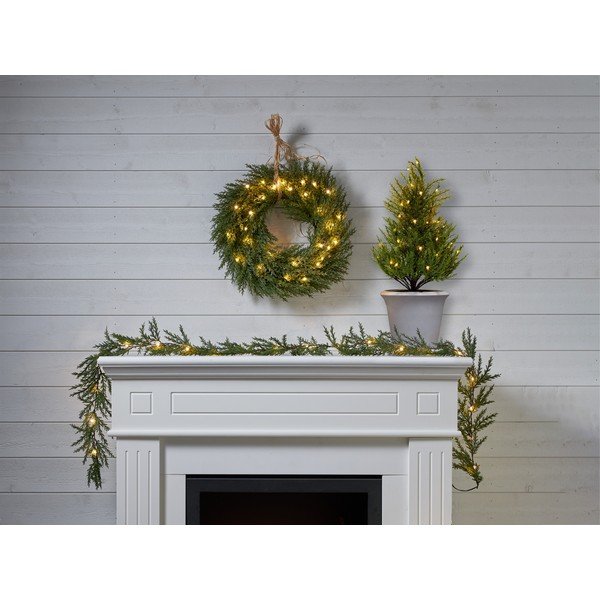 Corona di luce Thuja - Star Trading-image-1