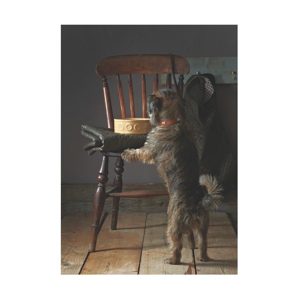 Ciotola per cani in gres, ø 25 cm Pet Cane Dog - Mason Cash-image-4