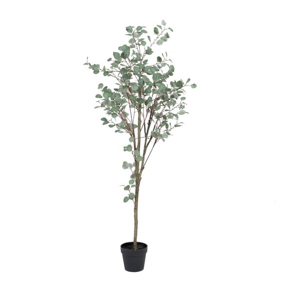 Eucalipto artificiale (altezza 180 cm) Eucalyptus - Ixia