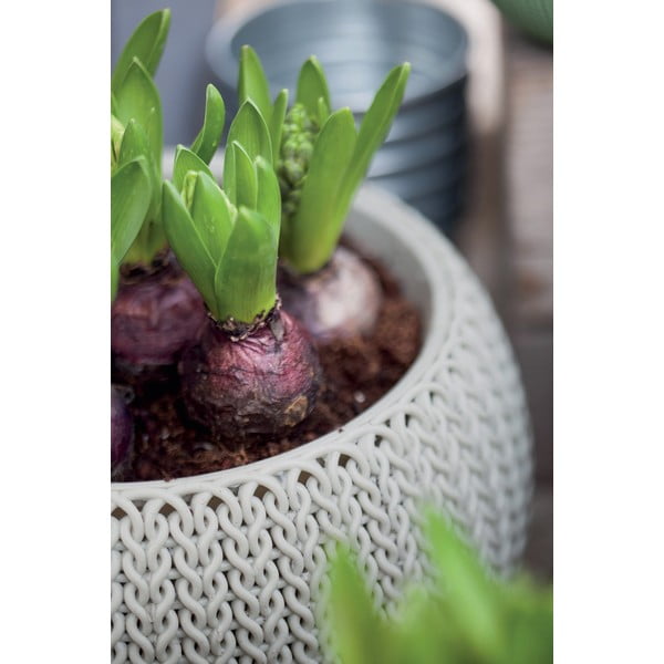 Vaso per fiori in plastica da appendere/parete ø 28 cm Cozy Cloudy Grey – Keter-image-4