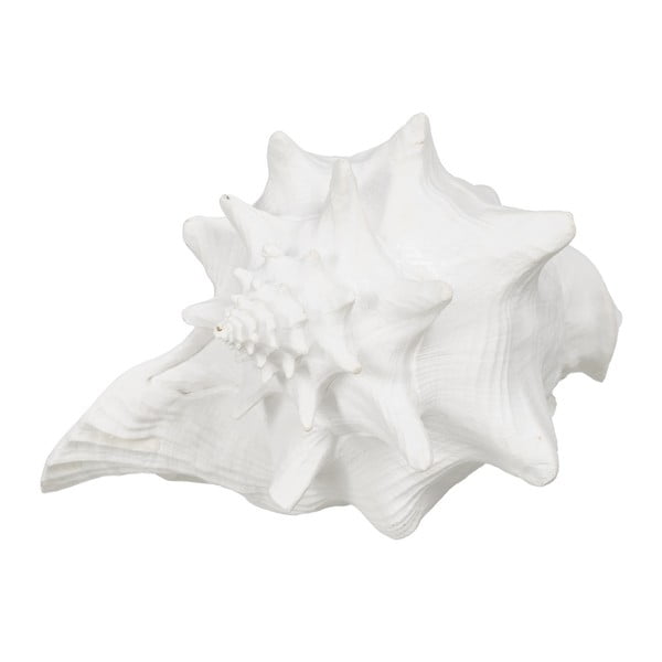 Statua in poliresina (altezza 13 cm) Seashell - Ixia