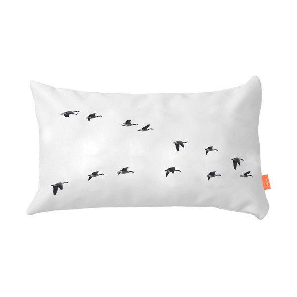 Set di 2 federe in cotone Trip - Blanc-image-4