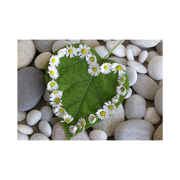 Tappetino Aretto, 75 x 52 cm - Zerbelli-image-2