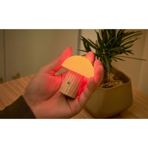 Lampada da tavolo con intensità regolabile di colore naturale in frassino massiccio (altezza totale 7 cm) Alice – Gingko-image-4