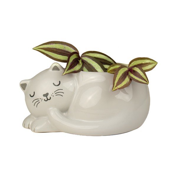 Coprivaso in ceramica Sleeping Cat – Sass & Belle-image-1