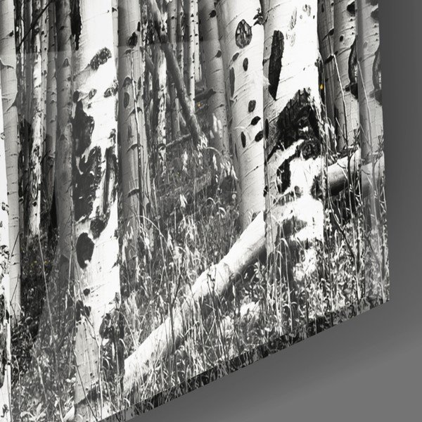 Pittura su vetro , 110 x 70 cm Yellow Forest - Insigne-image-2