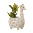Vaso bianco e beige , ø 7,5 cm Gina Giraffe - Sass & Belle