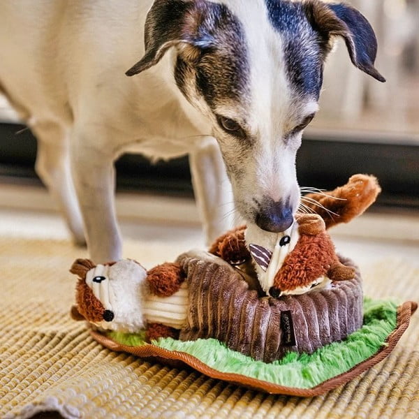 Giocattolo per il cane Chipmunks - P.L.A.Y.-image-3