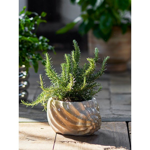 Coprivaso in gres Corelia – Bloomingville-image-1