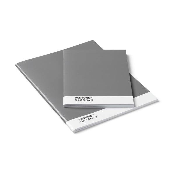 Set di 2 quaderni grigi - Pantone