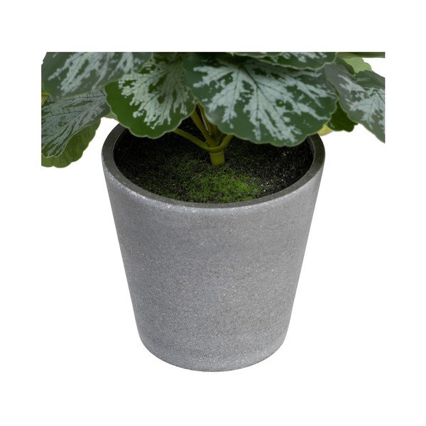 Pianta artificiale (altezza 21,5 cm) Saxifraga - Ixia-image-2