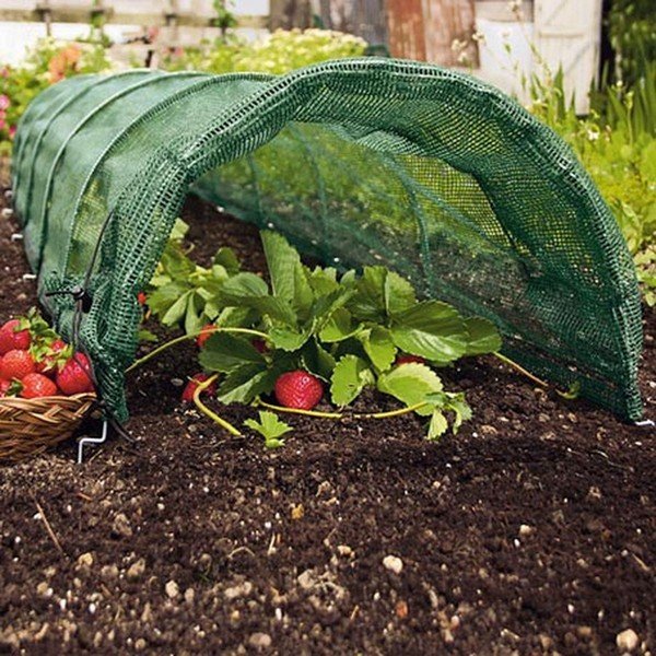 Rete per serra a tunnel per piante verde in poliestere 300 x 45 x 48 cm - Garden Pleasure-image-1