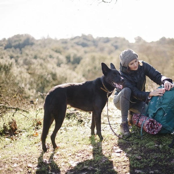 Cuccia da viaggio marrone per cane 50x75 cm Outdoor Chill Pad Mocha M – P.L.A.Y.-image-2