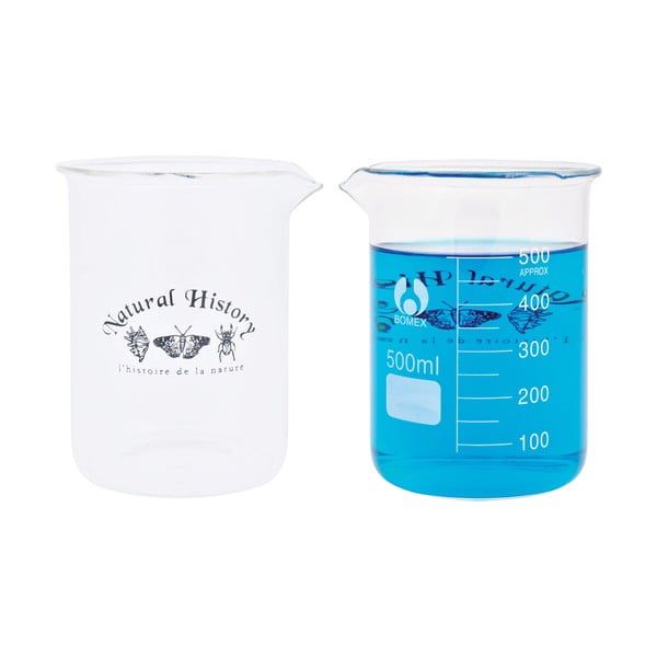 Vaso in vetro (altezza 12 cm) Natural History - Esschert Design-image-4