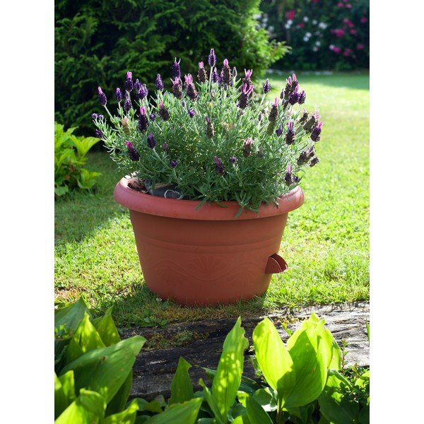 Vaso marrone autoinnaffiante Siesta, ø 25 cm - Plastia-image-1