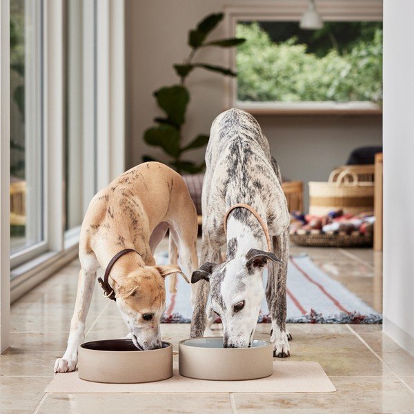 Ciotola in ceramica per cane ø 17 cm Sia – OYOY Living Design-image-3