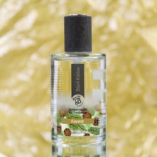 Profumo per interni 100 ml Forest - Boles d'olor