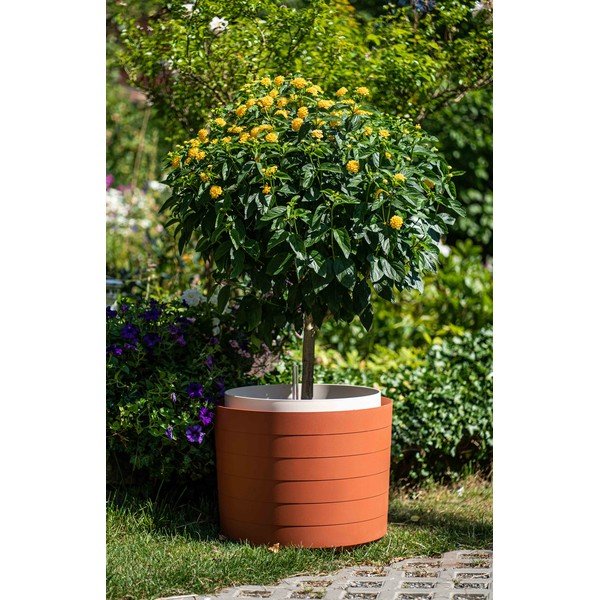 Vaso autoinnaffiante Berberis marrone-rosso, ø 55 cm - Plastia-image-1