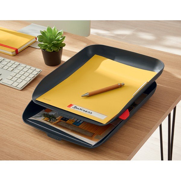 Cartelle da ufficio opache gialle , A4 Cosy - Leitz-image-3