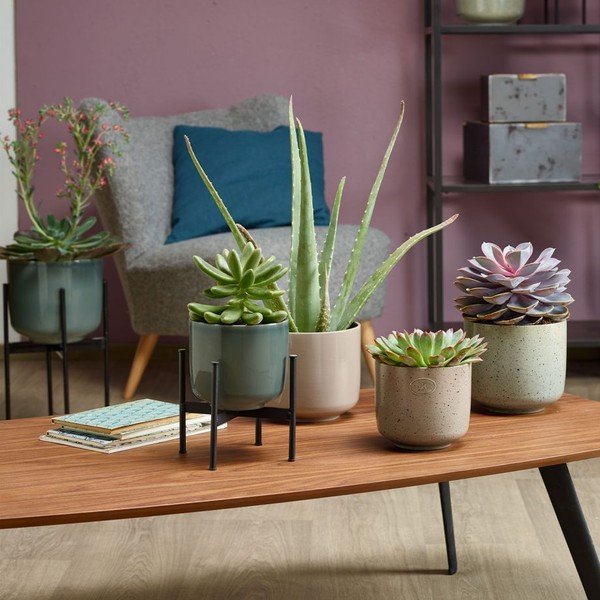Supporto grigio per pentole, ø 17 cm - Big pots-image-1