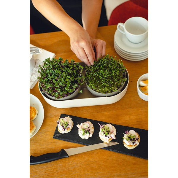 Set di vassoi di germinazione Velká farma Microgreens & Regrow - Plastia-image-3