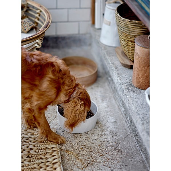 Ciotola in gres per cani ø 17,5 cm Buddy - Bloomingville-image-1