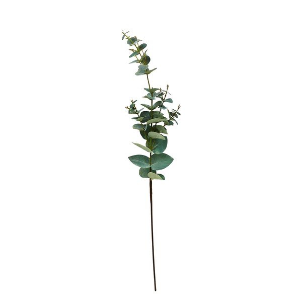 Eucalipto artificiale (altezza 71 cm) Kvist - Villa Collection