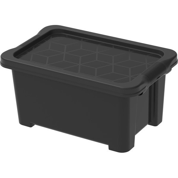 Scatola di plastica con coperchio Evo Easy - Rotho