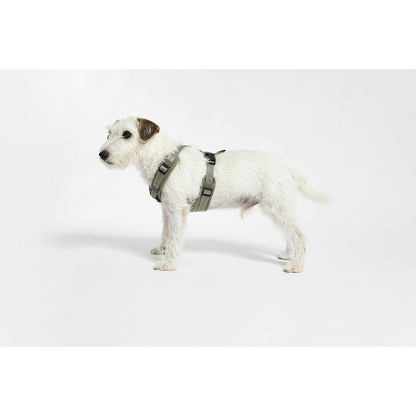 Pettorina verde taglia S lunghezza 30 cm Modena Grolive S - MiaCara-image-1