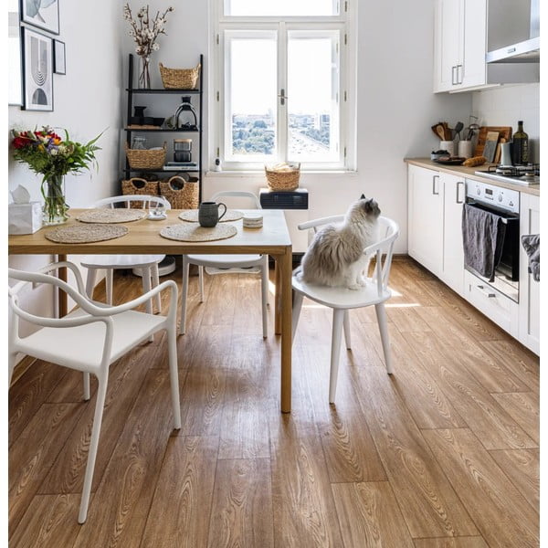 Set di 2 sedie da pranzo bianche Chaur Dali - Bonami Selection-image-1