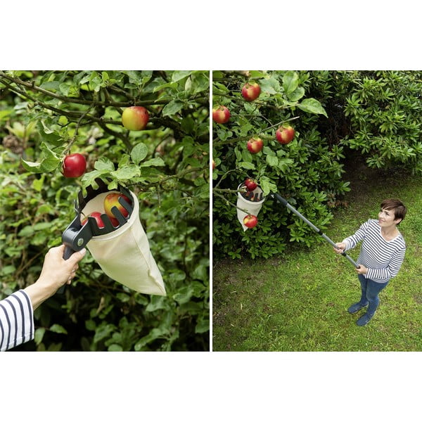 Raccoglitore di frutta telescopico - Maximex-image-1