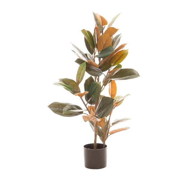 Ficus artificiale (altezza 90 cm) Ficus - Ixia