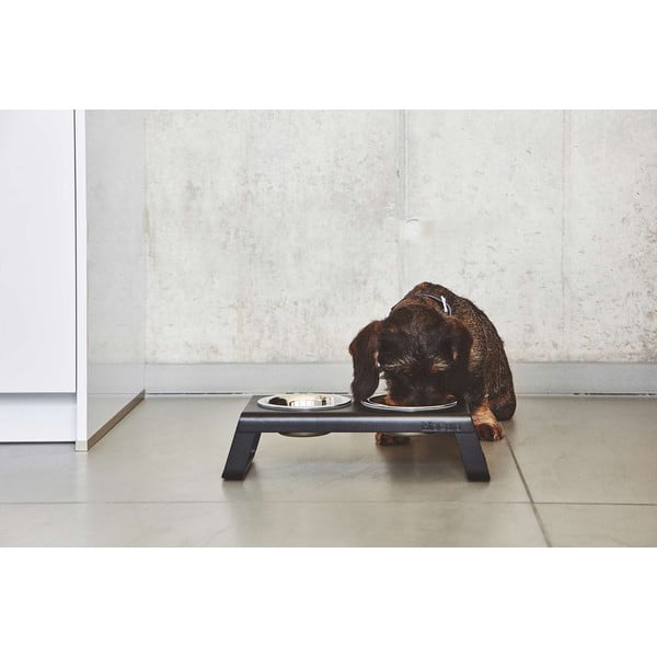 Set di ciotole in metallo con base rialzata per cani Desco Black S - MiaCara-image-4