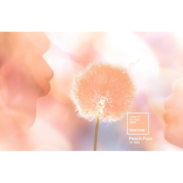 Tazza da espresso in ceramica arancione 120 ml Peach Fuzz 13-1023 - Pantone-image-2