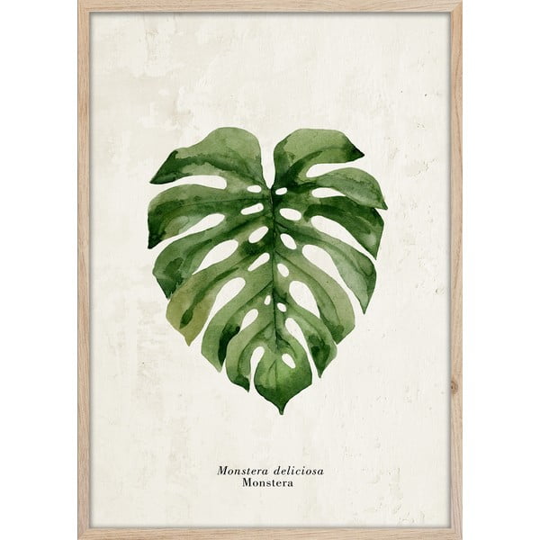 Poster in cornice 50x70 cm Monstera - Styler