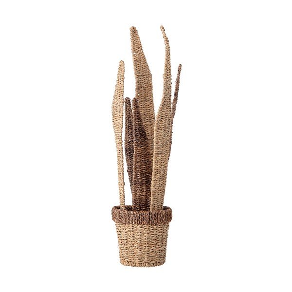 Piante da decorazione naturali Deco - Bloomingville-image-2