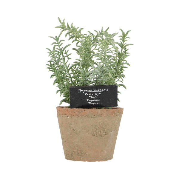 Pianta artificiale (altezza 21,5 cm) Thyme - Esschert Design-image-4