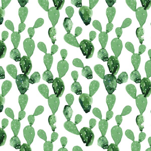 Carta da parati Cactus, 50 x 280 cm - Dekornik